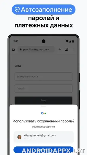 Google Chrome скриншот 6